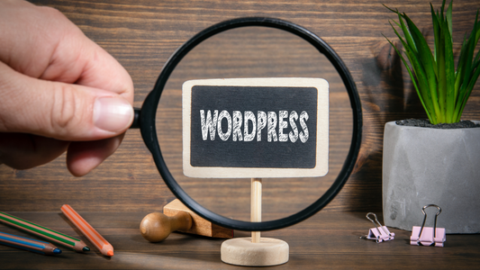 Why WordPress Remains The Most Popular CMS In The World